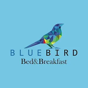 Blue Bird 2*, Cuenca Ecuador